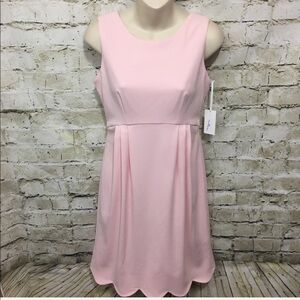 NWT Camilyn Beth Pink Saturday Dress